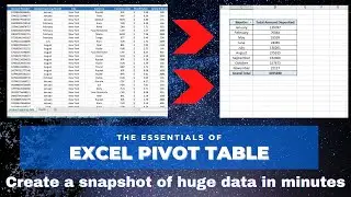 Pivot Table in Excel | How to create summary of data | Create summary of data using pivot table