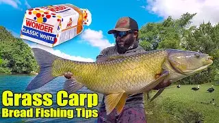 Monster Mike's Carp Fishing Secrets!  How to Catch BIG Grass Carp!