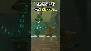 Man... That Was PAINFUL... 🙄 (Zelda TOTK)