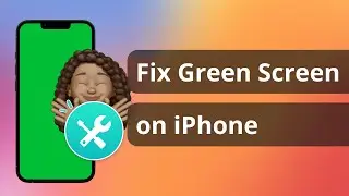 [5 Ways] How to Fix Green Screen on iPhone 2024