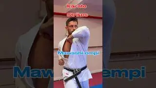 Karate Striking techniques 🥋 #shotokan #martialarts #karate