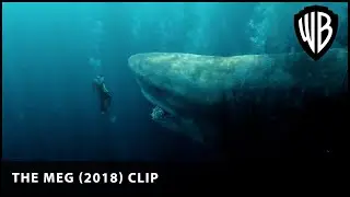 It's a trap! | The Meg (2018) | Warner Bros. UK