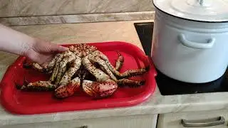 Crab fishing in winter