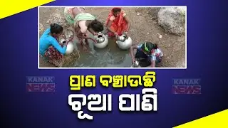 Despite Basudha Scheme, People Faces Water Scarcity Problem | Feeds On Water With Bugs