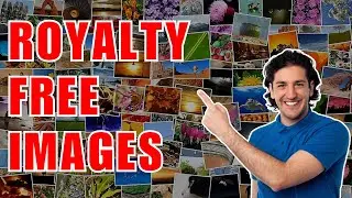 Top 5 Places To Get Royalty FREE Images To Use For Your Business