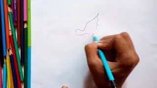 How to Draw a Seahorse step by step (very easy)