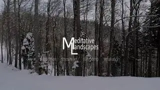 Meditative Landscapes: Winter in Alpine Forest | Meditation, Stress-Relief, Relaxation.