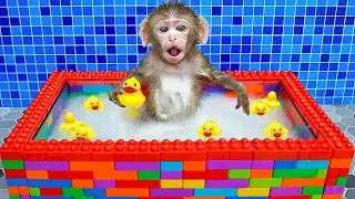 KiKi Monkey take a bath in Lego Bathtub with Duckling in the toilet | KUDO ANIMAL KIKI