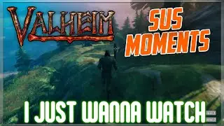 Sexually Frustrating Valheim Funny Moments