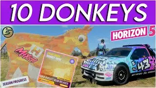 Forza Horizon 5 Collectibles DONKEY GONE SMASH 10 Donkey Cutouts in the Farmland in Tierra Prospera