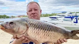 ЭТО МОЯ САМАЯ ВКУСНАЯ РЫБА ЖАРЕНЫЙ КАРАСЬ , РЫБАЛКА И РЕЦЕПТ 