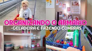 organizando o armário e geladeira + fazendo compras