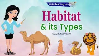 Animals and their Habitats | Habitat of Animals | Animal Habitats | Animal Homes | Science