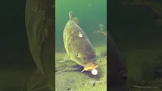 So close...