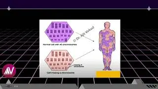 Screening Tests for Aneuploydy: Basics