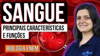 SANGUE: Células, partes, características e funções | Resumo de Biologia para o Enem. Claudia Aguiar