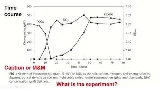 Lesson 3.3 - Results and describing data