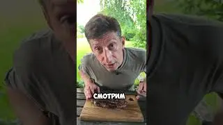 СТЕЙК СЭНДВИЧ | Как приготовить стейк сэндвич?! #отказанадостейка  #рецепт #стейк