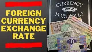 Foreign Currency Exchange Rate