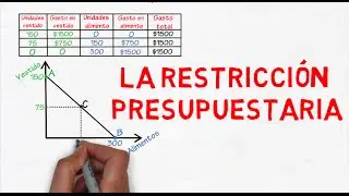 Restricción presupuestaria | Cap. 24 - Microeconomía