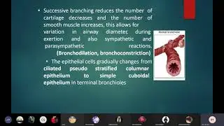 REVISION :TRACHEOBRONCHIAL TREE | Metro College of Nursing