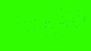 Burned Paper Particles - Green Screen Animation