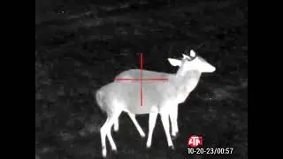 ATN Thermal scope@Firstshotllc1688