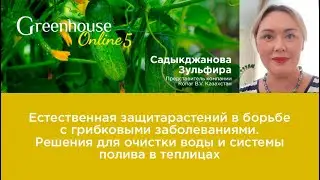 Решения для очистки воды и системы полива в теплицах