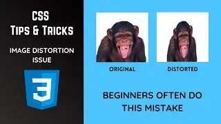 Common Mistake by CSS Beginners | Image distortion issue | CSS Tips & Tricks