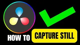 How to Capture A Still Image in Davinci Resolve (2024)