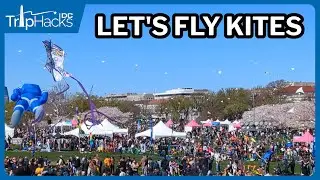 Washington DC 2024 Blossom Kite Festival 🪁 4K Narrated