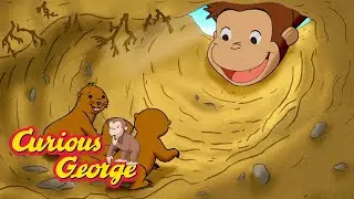 Saving the Gophers 🐵 Curious George 🐵 Kids Cartoon 🐵 Kids Movies 🐵 Videos for Kids