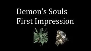 Demon's Souls First Impression