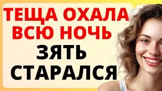 ТЕЩА охала, ЗЯТЬ старался всю ночь / история из жизни