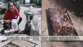 Mulch Glue FAQs: All You Need To Know! | Art of Gardening