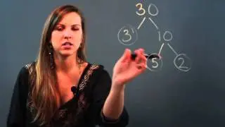 What Is the Difference Between a Factor Tree & Prime Factorization?