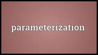 Parameterization Meaning