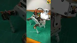 Raspberry Pi Dog rest action | Raspberry Pi robot #srituhobby #raspberrypi #robot @sritu_hobby