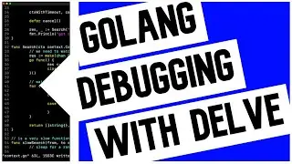 Go (Golang) Debugging with Delve