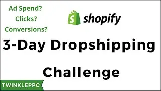 I Tried Shopify Dropshipping with Facebook Ads & Pinterest Ads for 3 Days