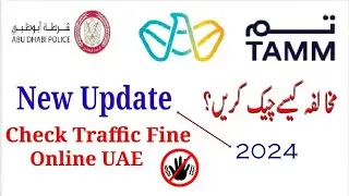 How To Check Traffic Fine Online in UAE traffic fine kasy check karyemirates id fine