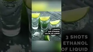 How Much Does Alcohol Dehydrate Us? #shorts #science