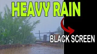 🎧 The Best Heavy Rain Sleep Black Screen video?  | Ambient Noise, @Ultizzz