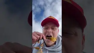 Satisfying Biting Sea Balls 
