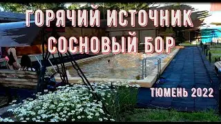 Термальные источники Тюмени. Горячий источник   