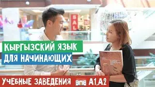 Кыргызский для начинающих⎟Учебные заведения