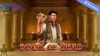Book of Dead Slot by Play ‘n Go Gameplay (Desktop View)