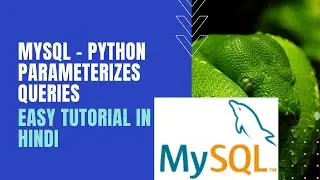 Python - MySQL Connectivity | Parameterized Queries