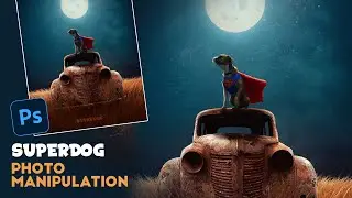 I Create a Superdog Photo Manipulation in Photoshop