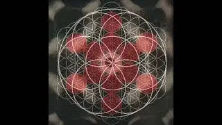 Cymatics Fruit of Life 